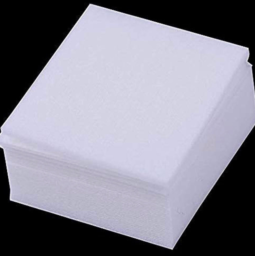 Lint-Free Nail Wipes 325ct