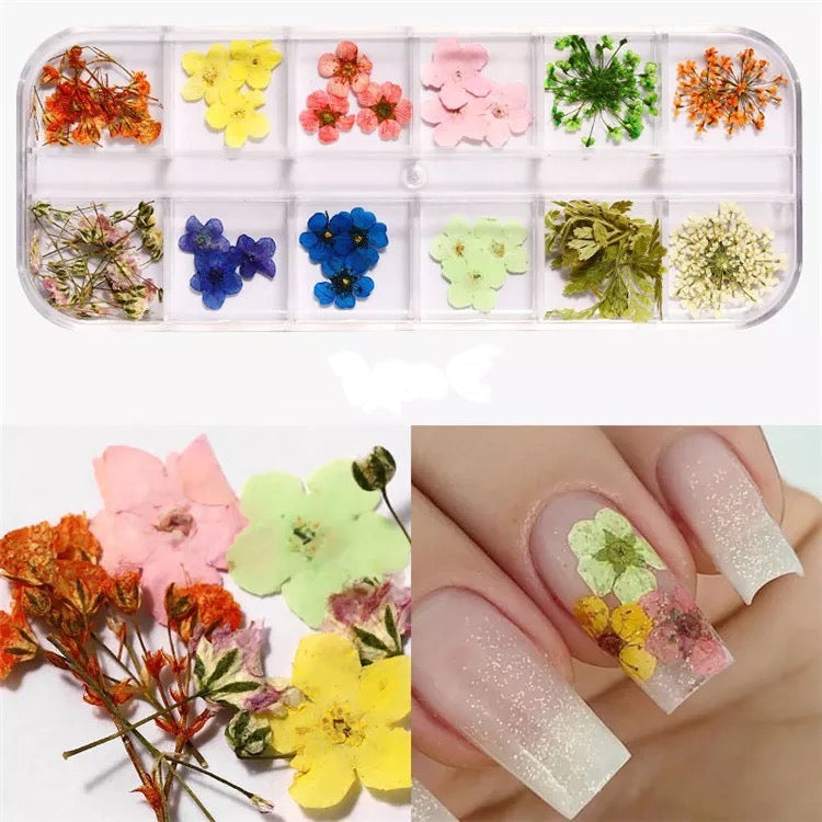 Dried Flowers - Kreativ Nail Supply